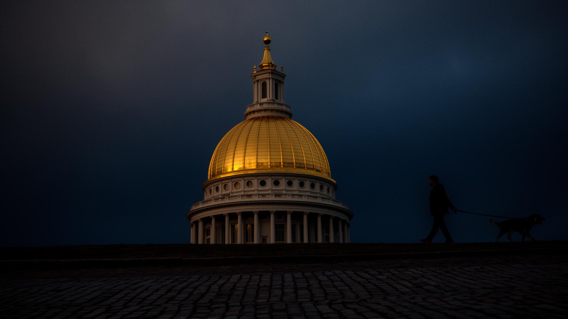 Massachusetts Voted 38–0 to Protect Pets. What About After They Die?